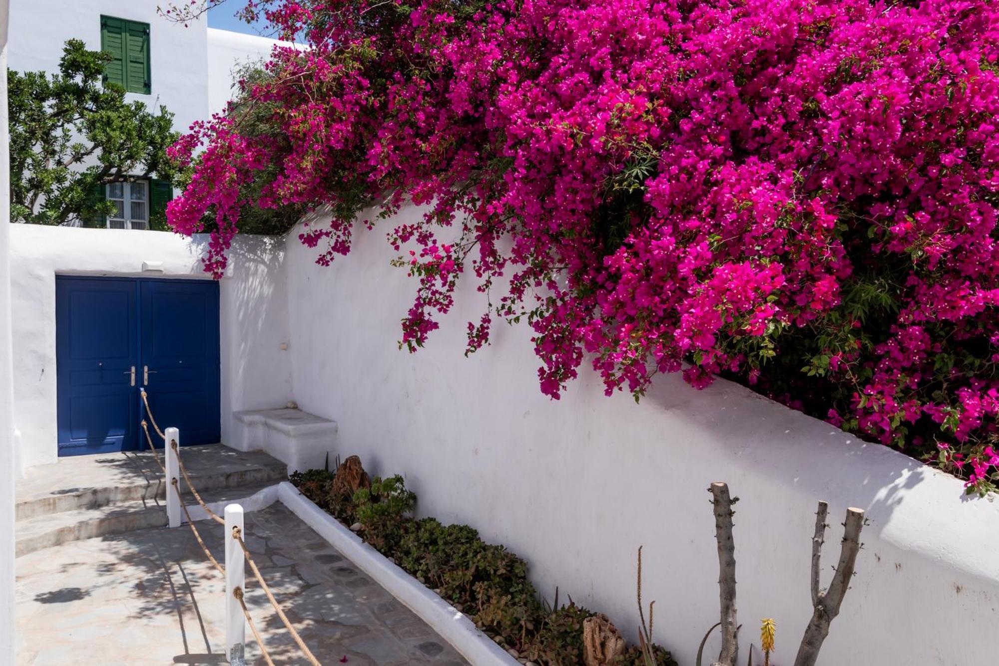 Olive Tree Mykonos Town Semi-Basement Apartment Exterior foto